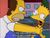homer simpson episode 10 GIF