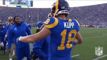 2018 Nfl Football GIF by NFL