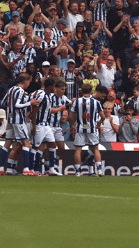 West Brom Wba GIF by West Bromwich Albion