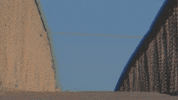 Coyote Grandaddy GIF by Dangerbird Records