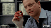 New York Drama GIF by ION Mystery