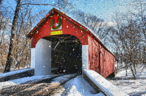 christmas winter GIF