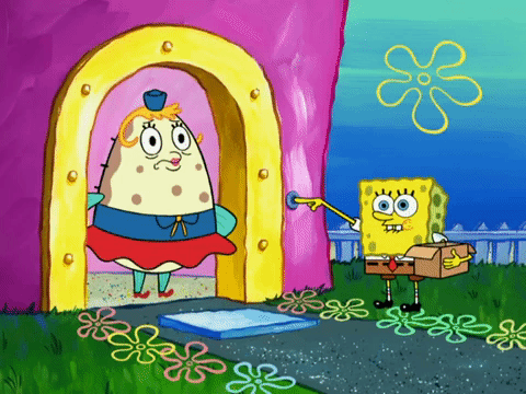 season 6 pet or pets GIF by SpongeBob SquarePants