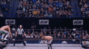 Hangman Adam Page Wrestling GIF by AEWonTV