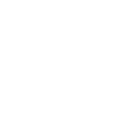 South Carolina Texas Sticker by All Better