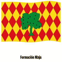 Comunidad Valenciana Flag GIF by Formación Ninja