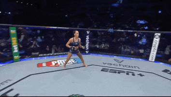 Sport GIF by UFC