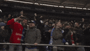 Mobile Phone Football GIF by FC Schalke 04