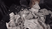 money po115 GIF by paidoff