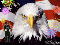 4Th Of July America GIF