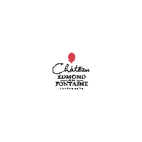 domainesvinsmoselle logo wine luxembourg letzebuerg Sticker