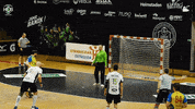 Celebrate Czech Republic GIF by HCB Karviná