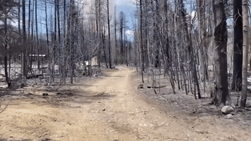 Landscape Left Scorched by Calf Canyon Fire in New Mexico's Mora County