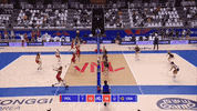 Happy Sport GIF by Volleyball World