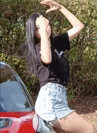 Model GIF
