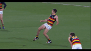 Afl Memories GIF by Adelaide Crows
