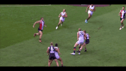 afl jacobs GIF by Adelaide Crows