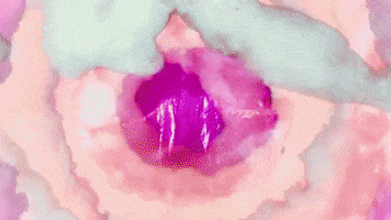 youngthegiant young the giant heat of the summer GIF