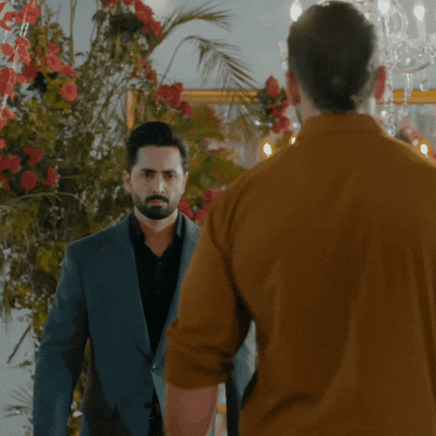 Kabir Khan GIF