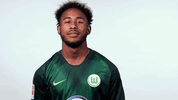 GIF by VfL Wolfsburg