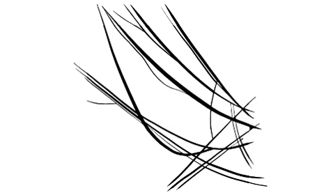 listomirov giphygifmaker GIF
