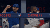 Vladimir Guerrero Jr Baseball GIF by Toronto Blue Jays