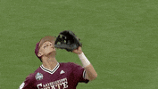 Baseball College GIF by NCAA Championships