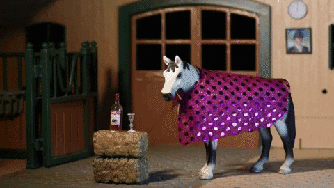 skintdressagedaddy giphygifmaker party horse lonely GIF
