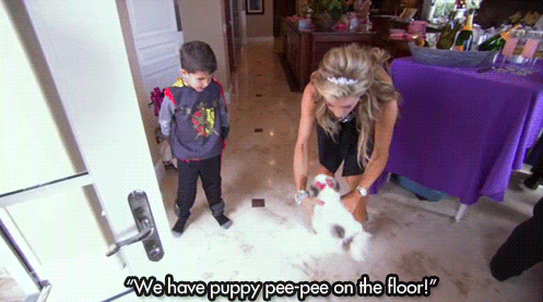 rhoc GIF