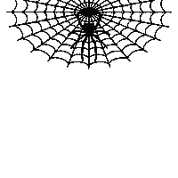 Halloween Spider Sticker by DigitalZirkus