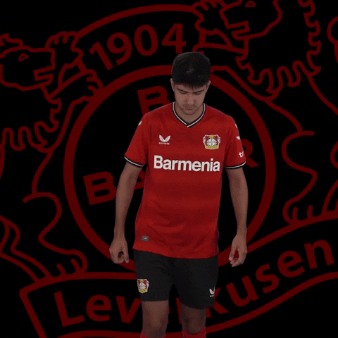 Happy Celebration GIF by Bayer 04 Leverkusen