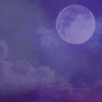 moon howl