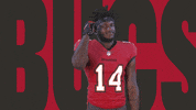 Lets Go Clap GIF by Tampa Bay Buccaneers