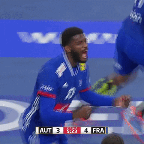 Ffhandball GIF by Fédération Française de Handball