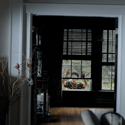 thesociety giphyupload netflix society the society GIF