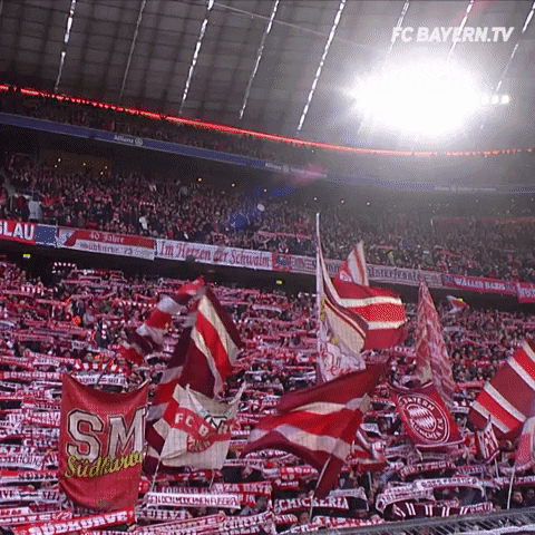 waving allianz arena GIF by FC Bayern Munich
