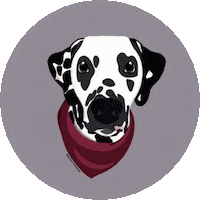 Dog Yr Sticker