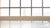 dogs oops GIF by Capital One