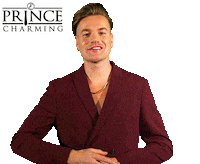 Prince Charming Love Sticker by Videoland