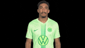 Bundesliga Thumbs Up GIF by VfL Wolfsburg