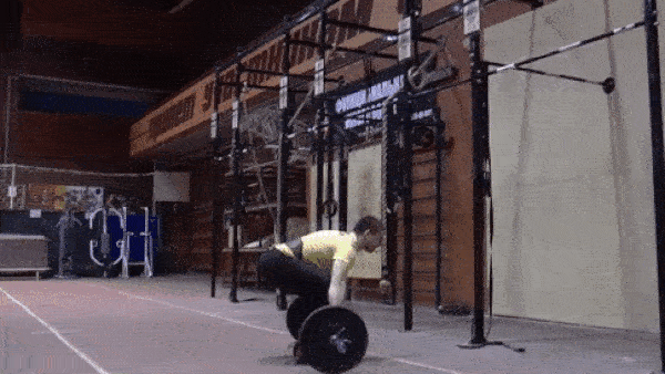 bodybuilding-and-fitness giphyupload ryvok GIF
