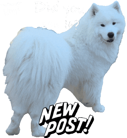 New Post See Sticker