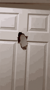 Its Me Hello GIF