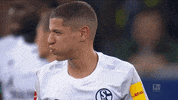 Football Soccer GIF by FC Schalke 04