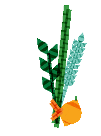 Jewish Tradition Sticker by JCCSF