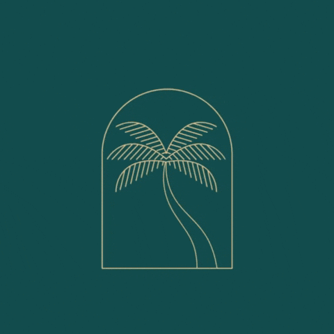 PajeEmeraldEscapes giphyupload travel tropical paradise GIF