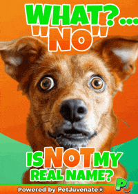 PetJuvenate  GIF