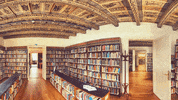 AAU_StudentCouncil  GIF