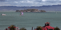 san francisco california GIF
