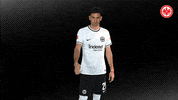 Lucas Alario Thumbs Up GIF by Eintracht Frankfurt